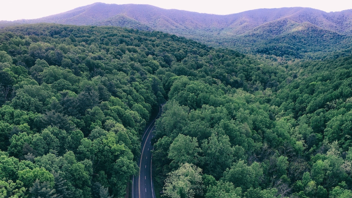 This Is The Most Beautiful Town To Visit In Virginia This Winter