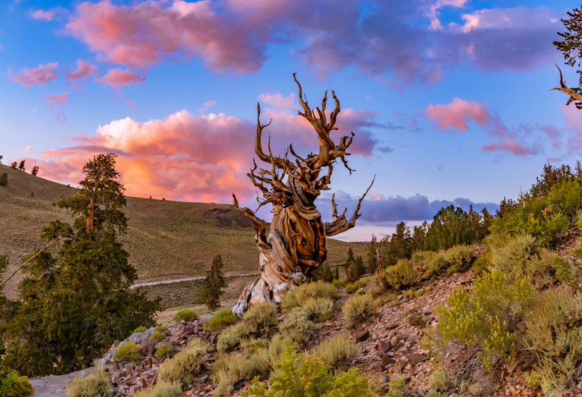 10 Least-Crowded, But Still Scenic Places To Visit In California