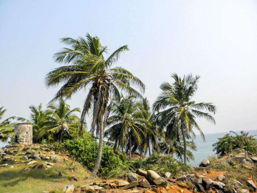 Admire West Africa's Coastal Beauty: 10 Best Beaches In Ghana