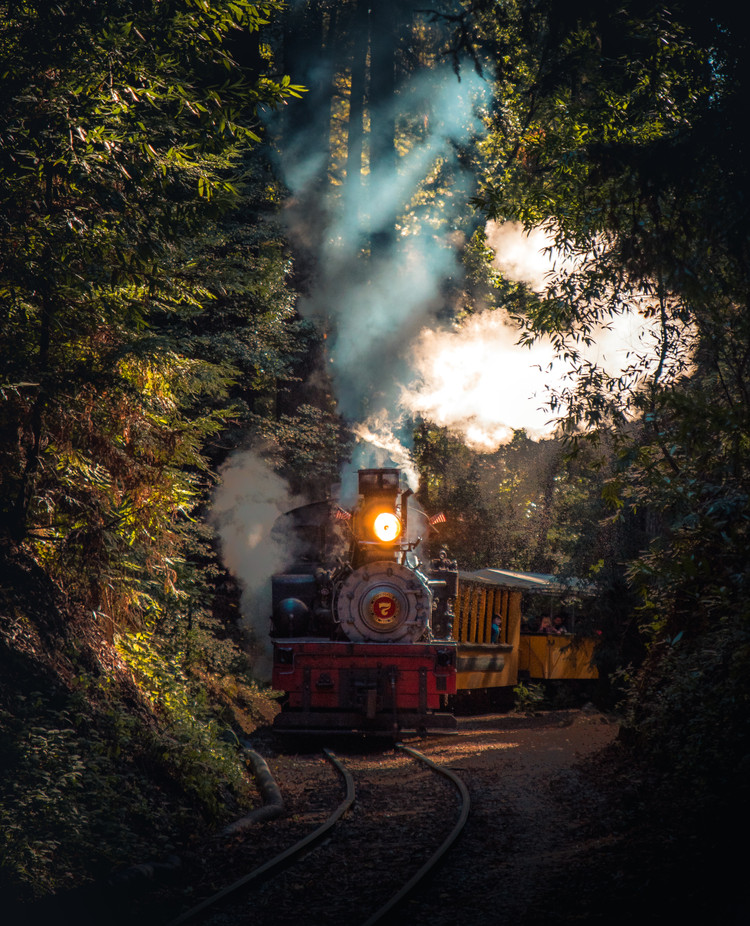 Kentucky Train Rides 10 Scenic Train Rides Throughout The South With The Best Views