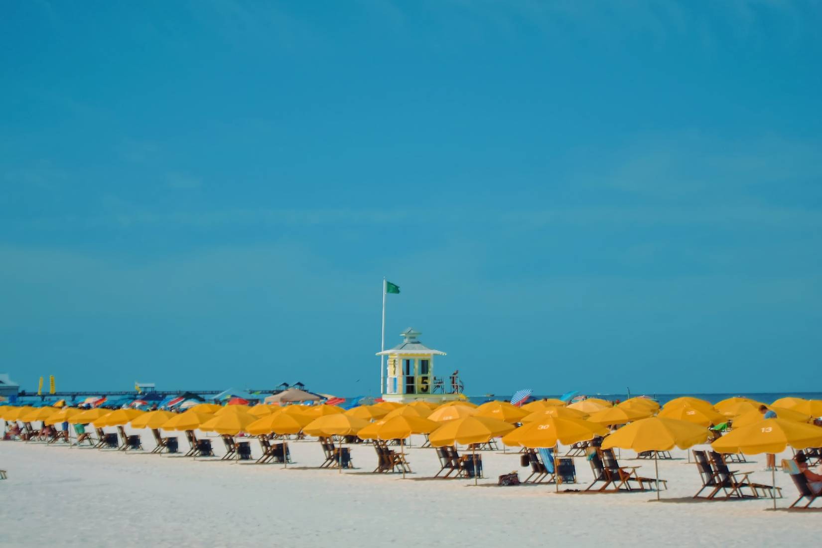 15 Best Tampa All-Inclusive Resorts To Book For Your Next Vacation