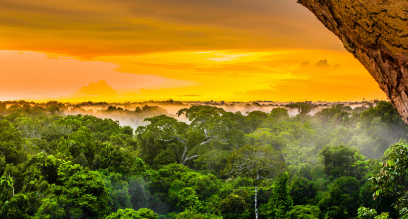 The Most Remote Tribes In The World Recently Discovered