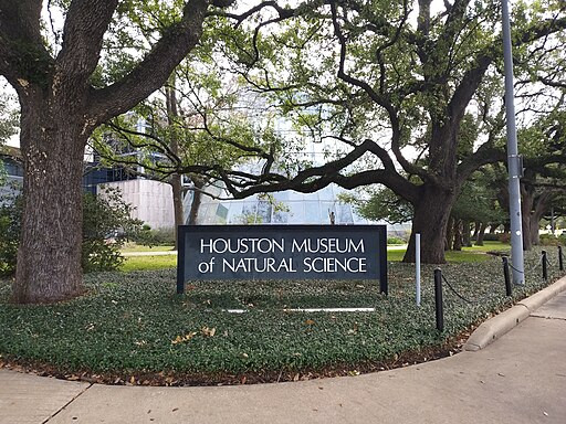14 Things To Do In Houston For First Time Visitors