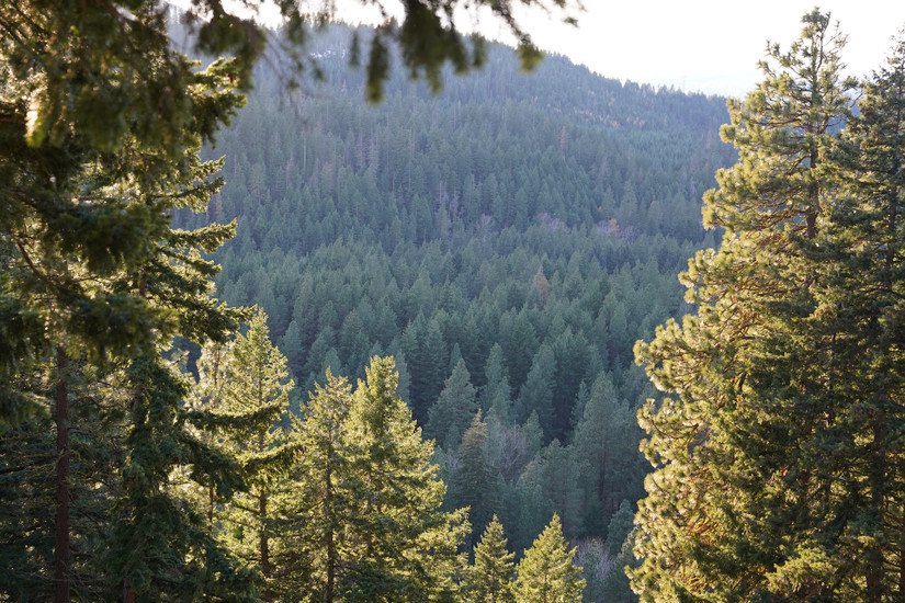 These Are The Most Unique Small Towns To Visit In Washington