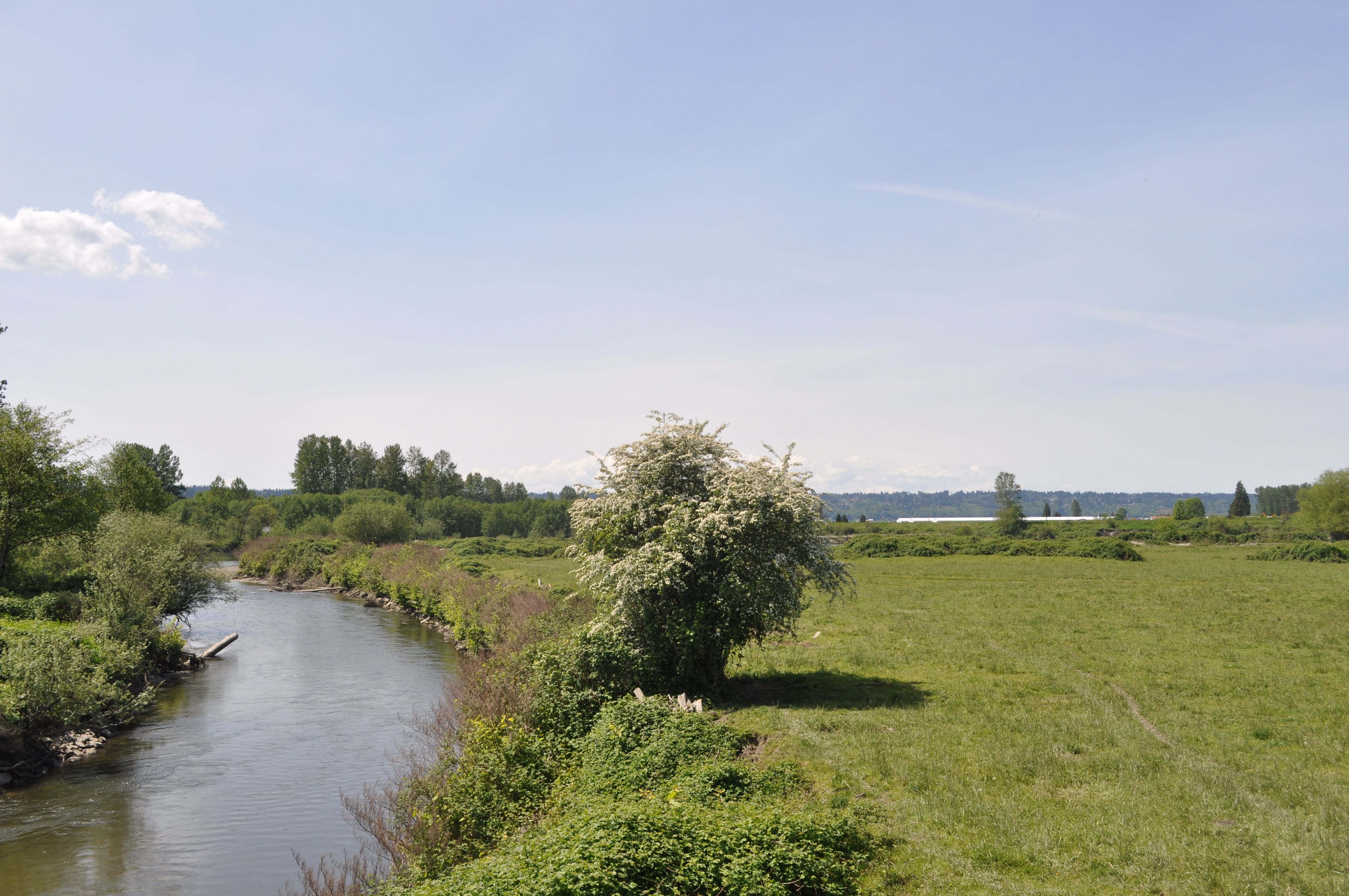 7 Cutest Small Towns Near Seattle In 2024