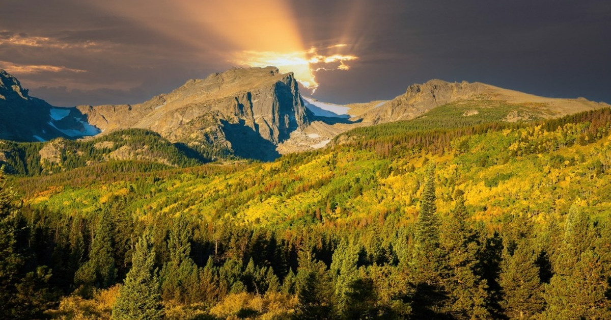 Rocky Mountain National Park Bans Popular Trails Due To An Invader