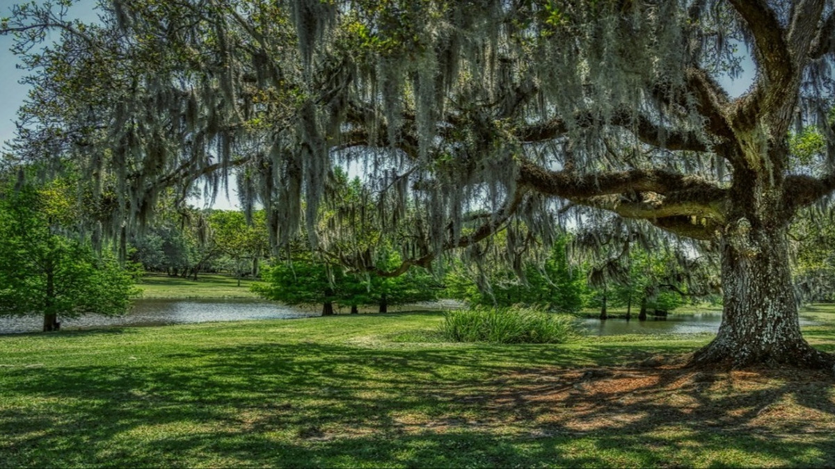10 Most Beautiful Small Towns In Louisiana