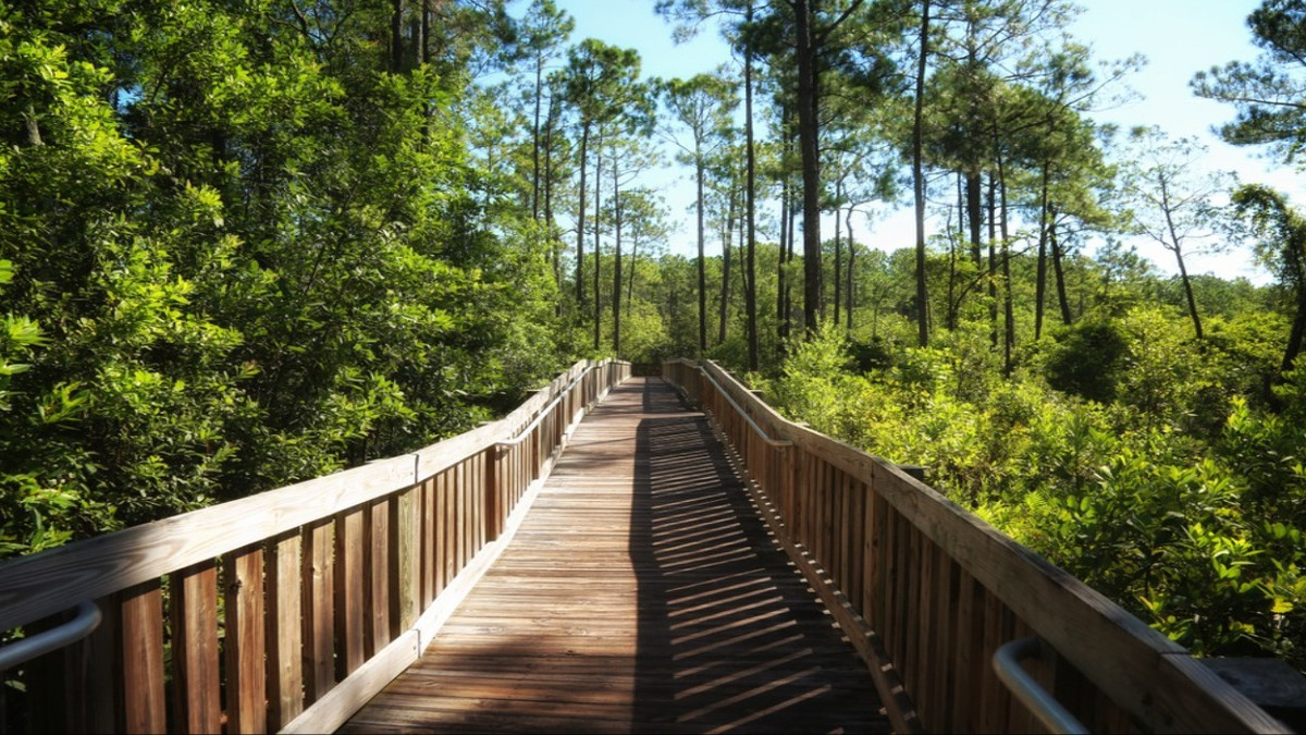 10 Cheap Things To Do In Orlando That Are Perfectly Budget-Friendly