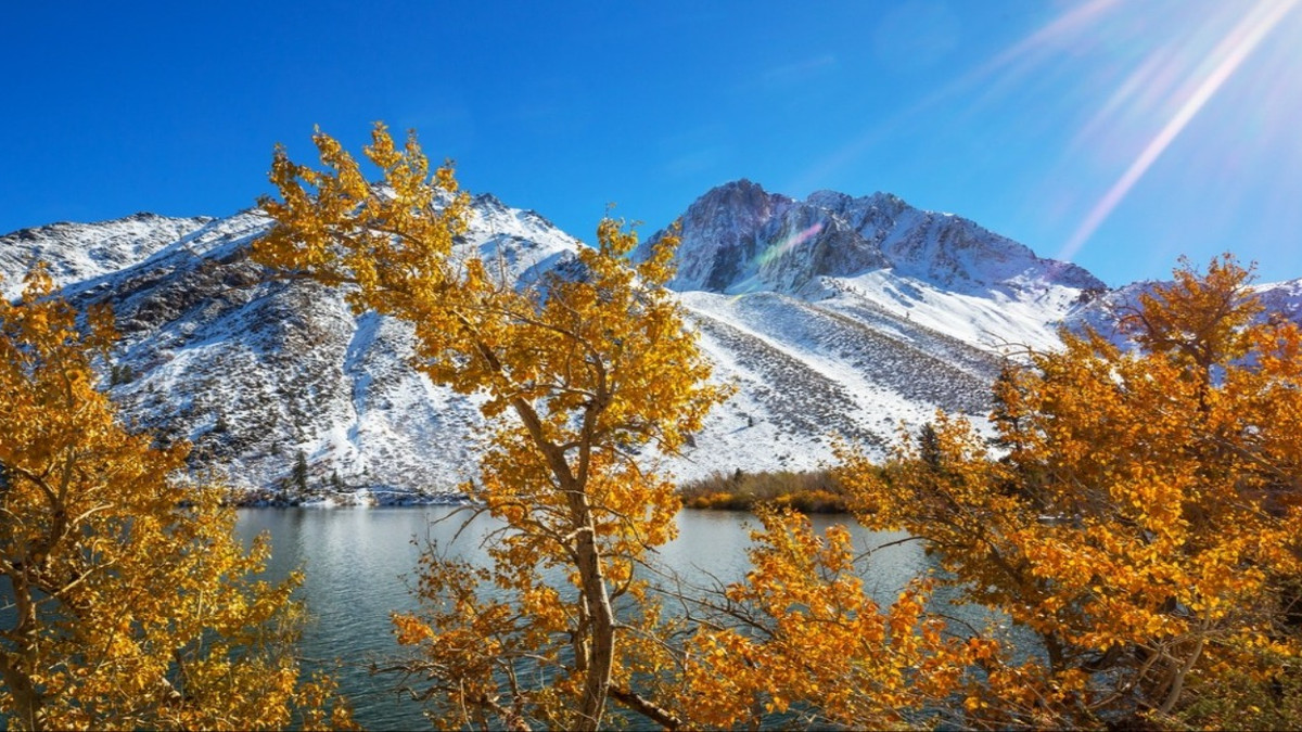 fall magc ing   秋の雪景色 fall magc ing 秋の雪景色 Autumn in Japan 🇯🇵🍁 📸 Shot on @