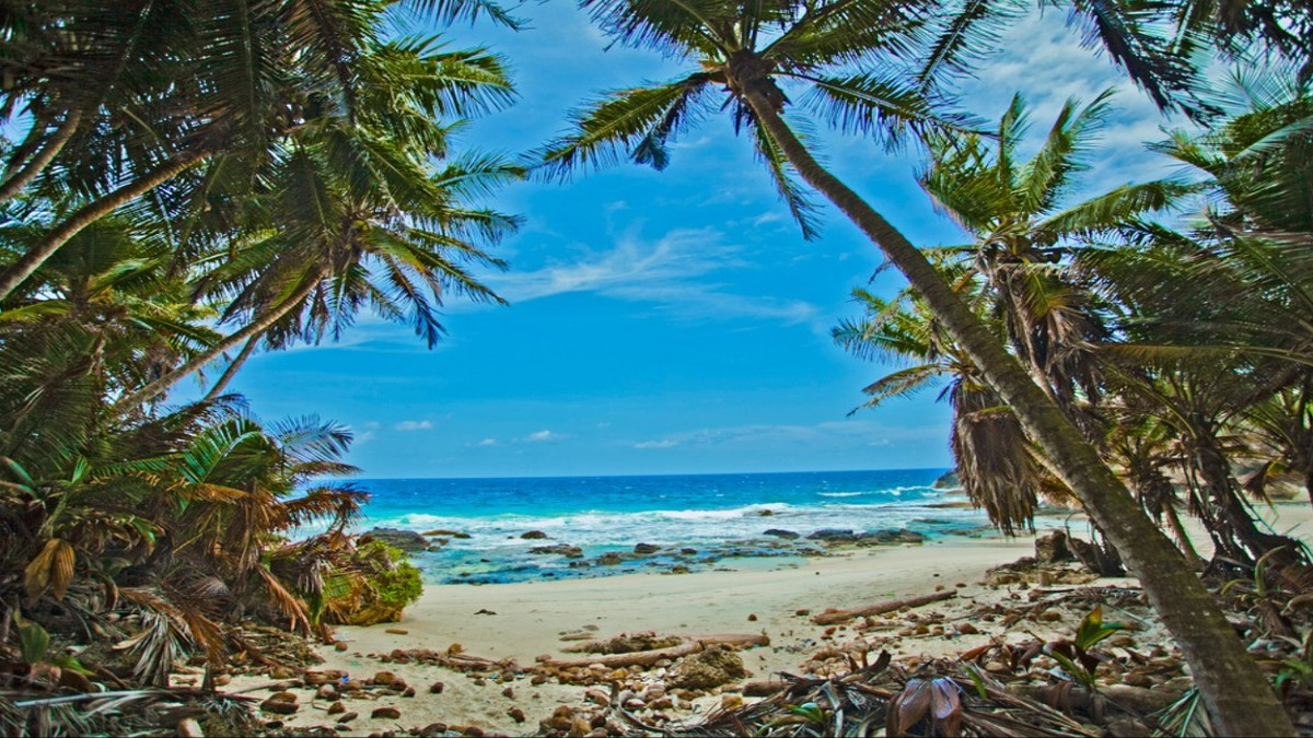 Christmas Island: 10 Amazing Things To Do On This Hidden Indian Ocean Gem, image size:1200x675