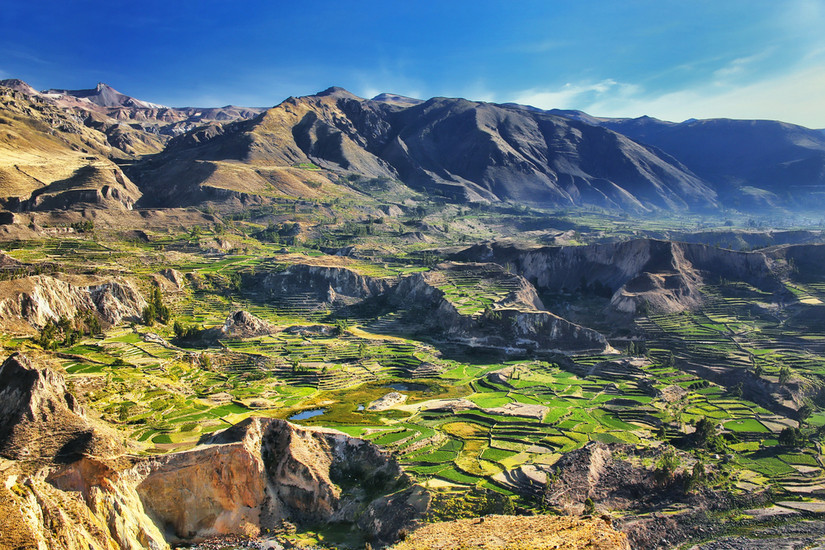 Peru's Deep Colca Canyon Is Known As The Kingdom Of Condors (& Is ...