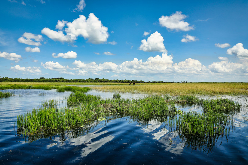 This Florida Trail Offers Scenic Views With Minimal Hiking