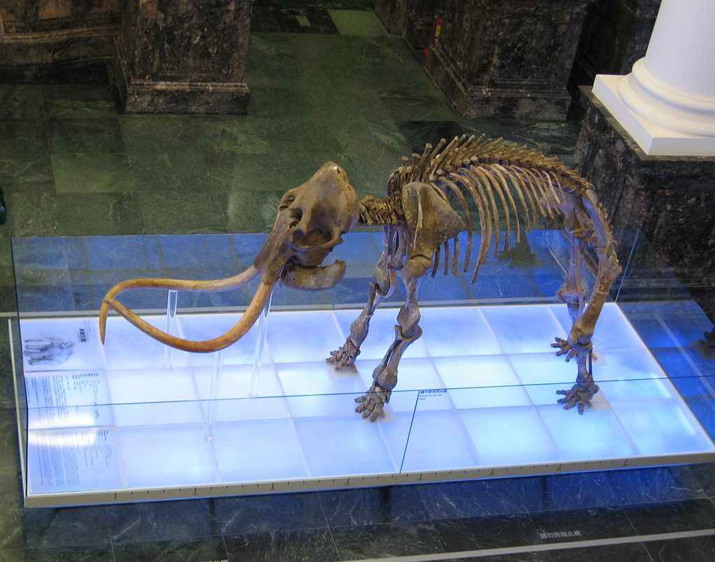 8 Extinct Creatures That Might Actually Still Exist