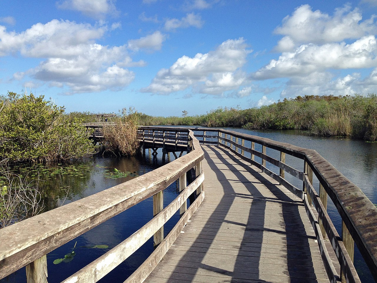 Anhinga Trail Boardwalk traversing through the Everglades National Park, Florida