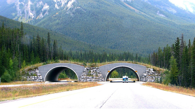 Preserving Paradise: Amazing Eco-Tourism Initiatives in National Parks ...