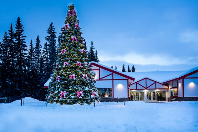 Santa Tree House These 7 US Towns Have The Realest-Looking Santas In All Of America