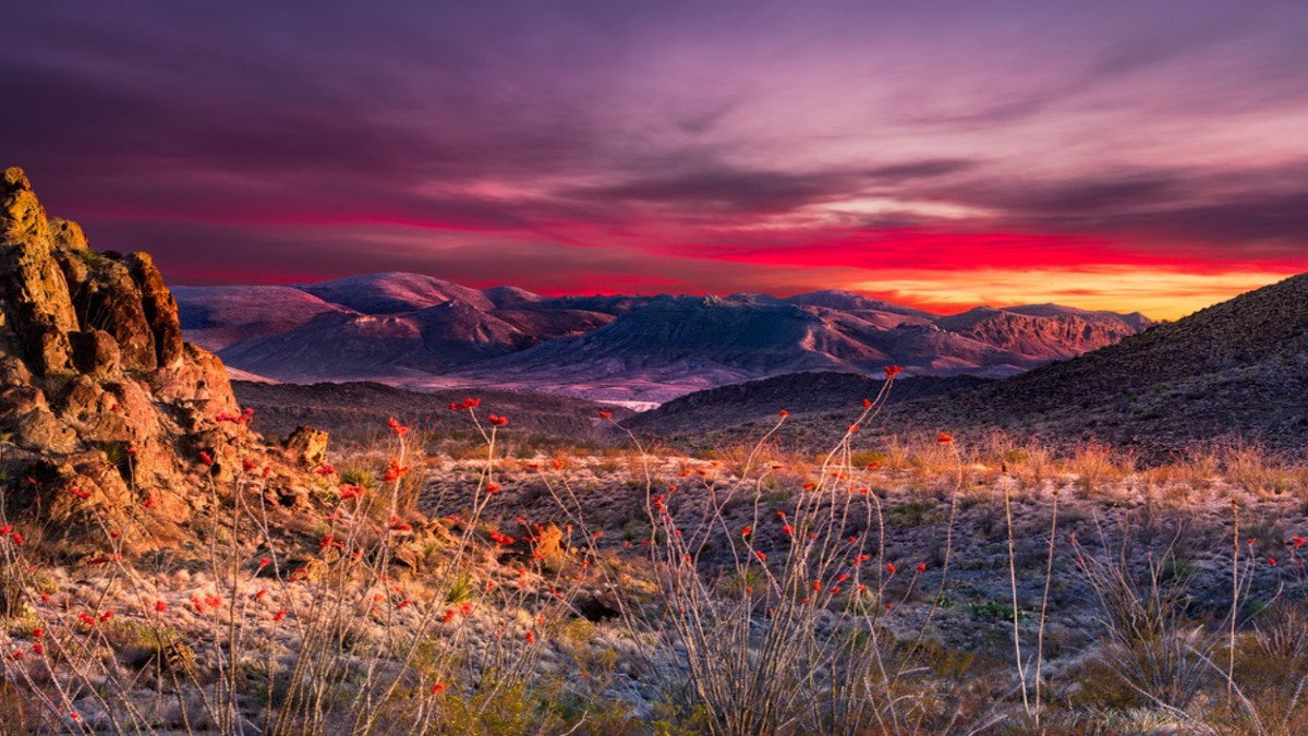 10 Best Road Trips You Can Take Through The Scenic State Of Texas