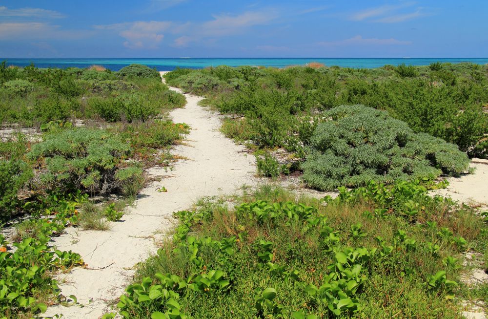 Why Visit The Fiji Of Florida This Summer