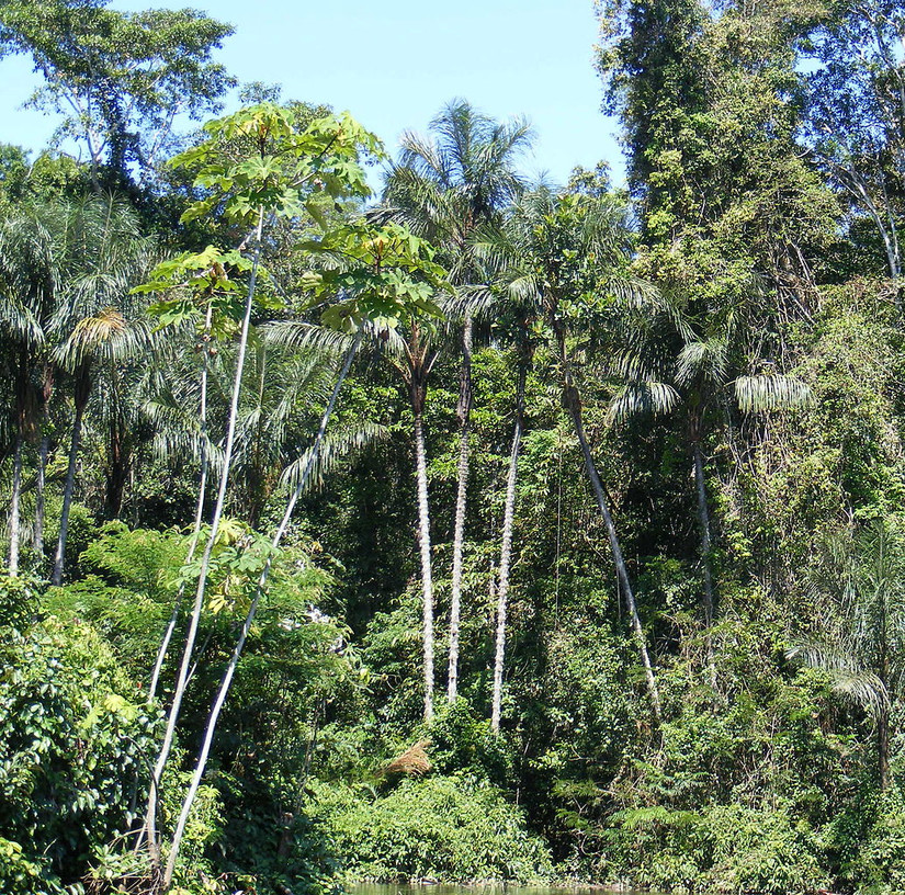 The Most Remote Tribes In The World Recently Discovered