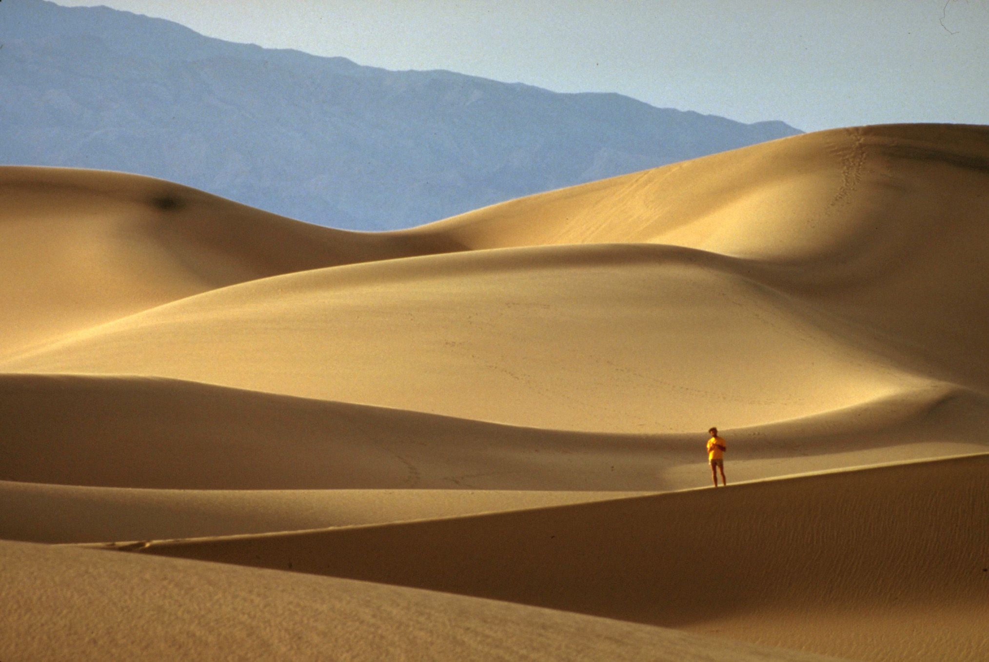7 Biggest National Park Disappearances (& How To Avoid Them)