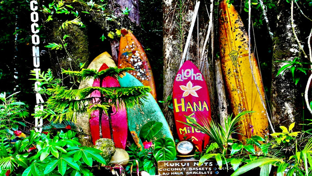 10 Bucket List Experiences To Have On Maui