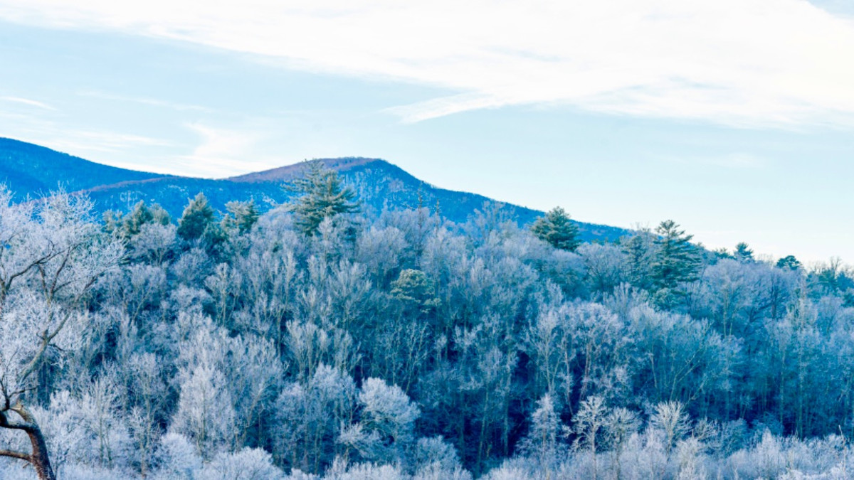 10 Cozy Small Towns In Tennessee To Visit In Winter