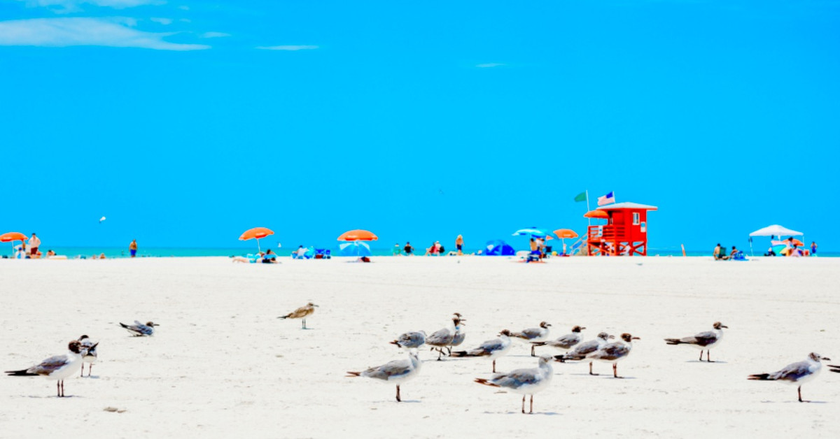 Best Beaches In Florida February