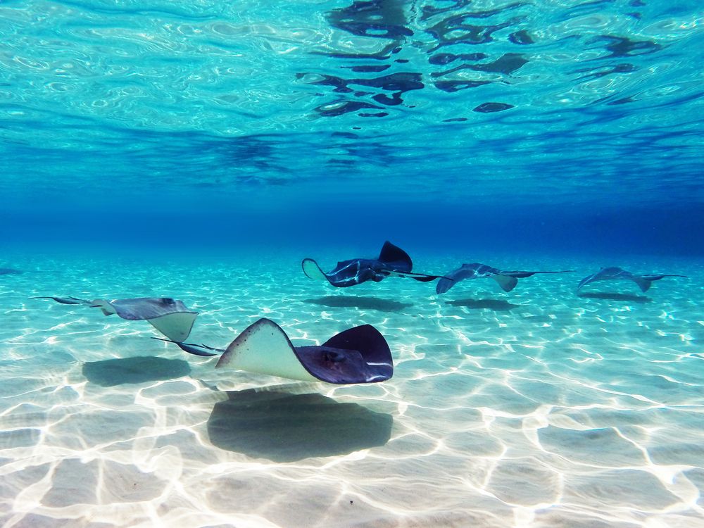 14 Safest Caribbean Islands For Solo Female Travelers