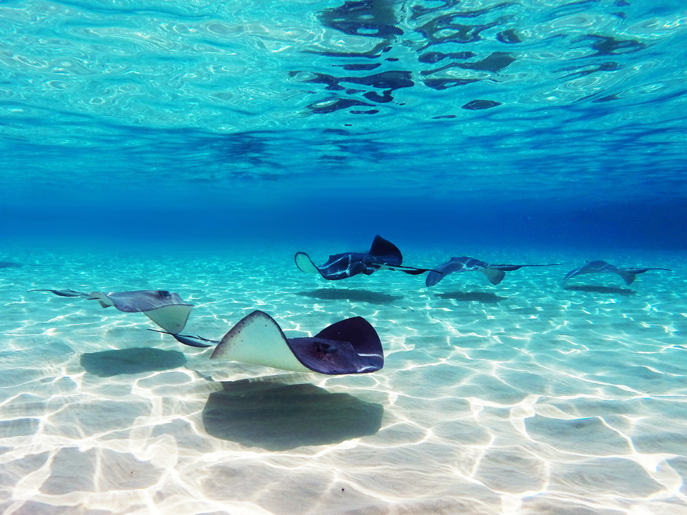 14 Safest Caribbean Islands For Solo Female Travelers 14 Safest Caribbean Islands For Solo Female Travelers