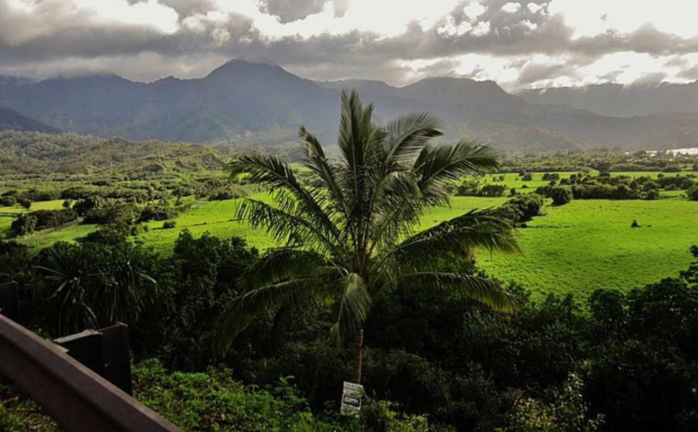 10 Small Towns In Hawaii With Authentic Must-See Luaus