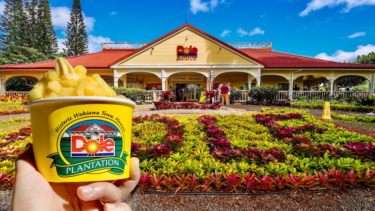 Dole Plantation & Other Tourist Traps in Hawaii To Skip