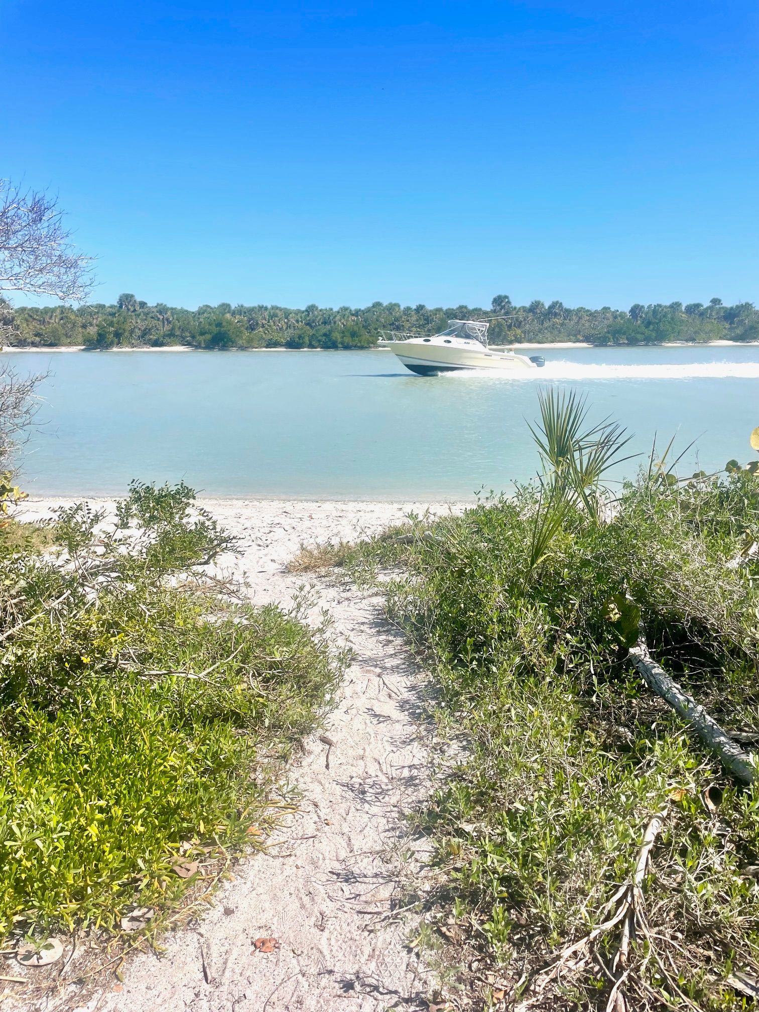 7 Best Beaches In Florida For Seashell Hunters