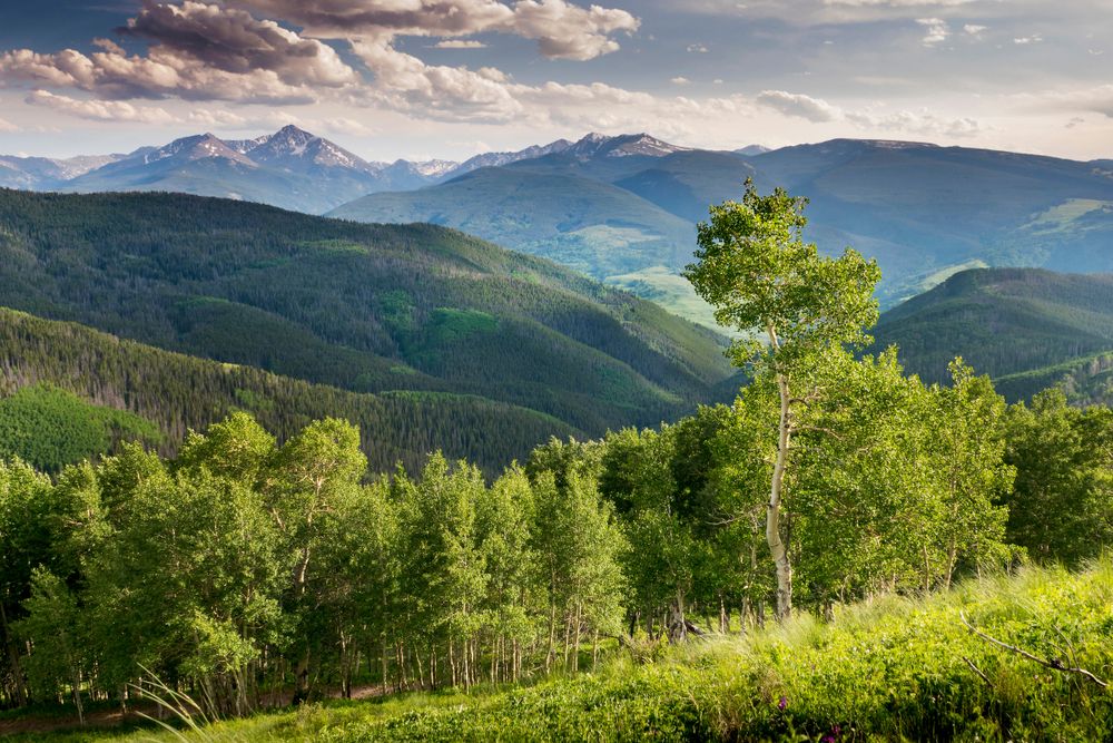 12 Places For A Summer Vacation In Colorado