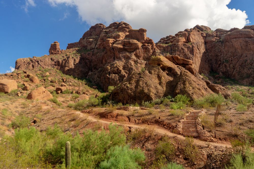 7 Things About What It's Really Like Living In Phoenix