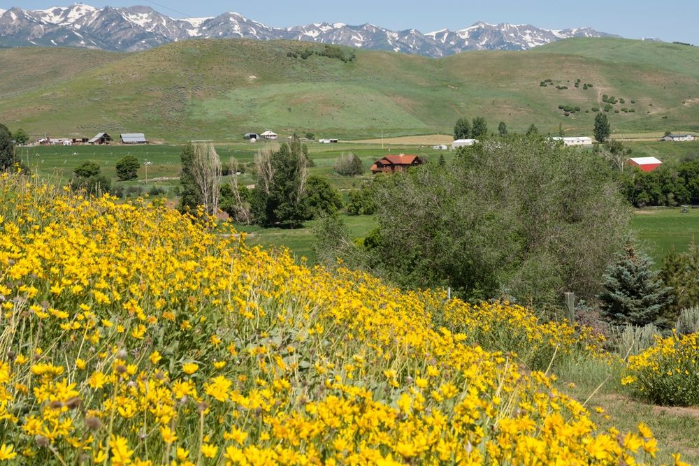 The Best Mountain Towns Near Salt Lake City To Visit