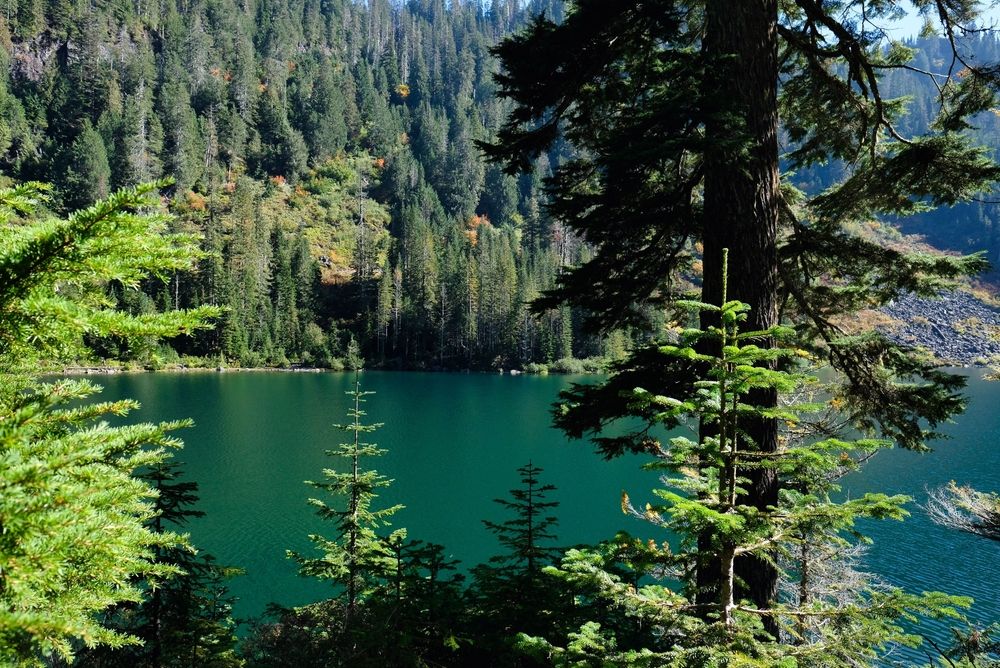 7 Lake Hiking Trails In Washington