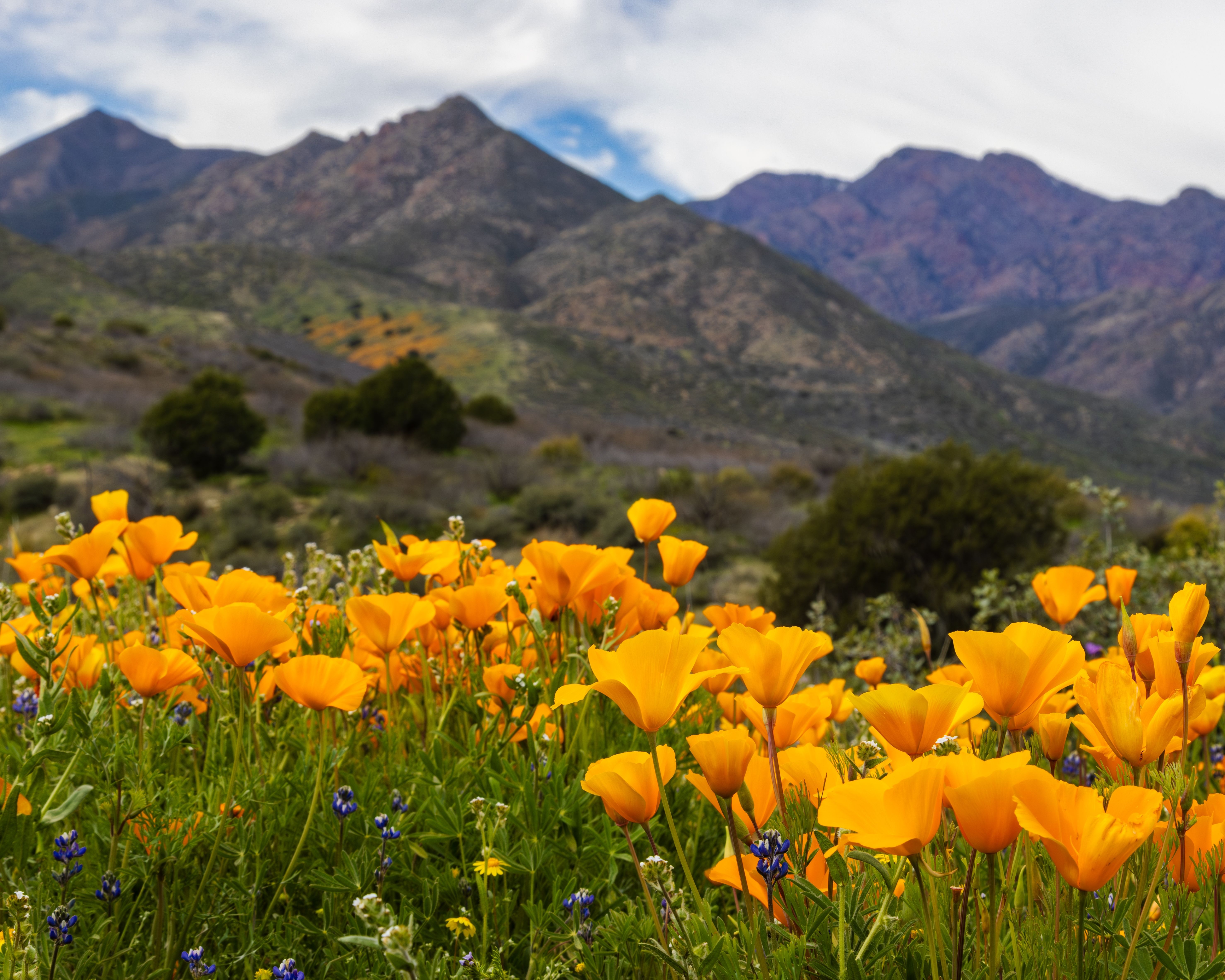 7 Arizona Towns With The Best Quality Of Life In The Transition Zone