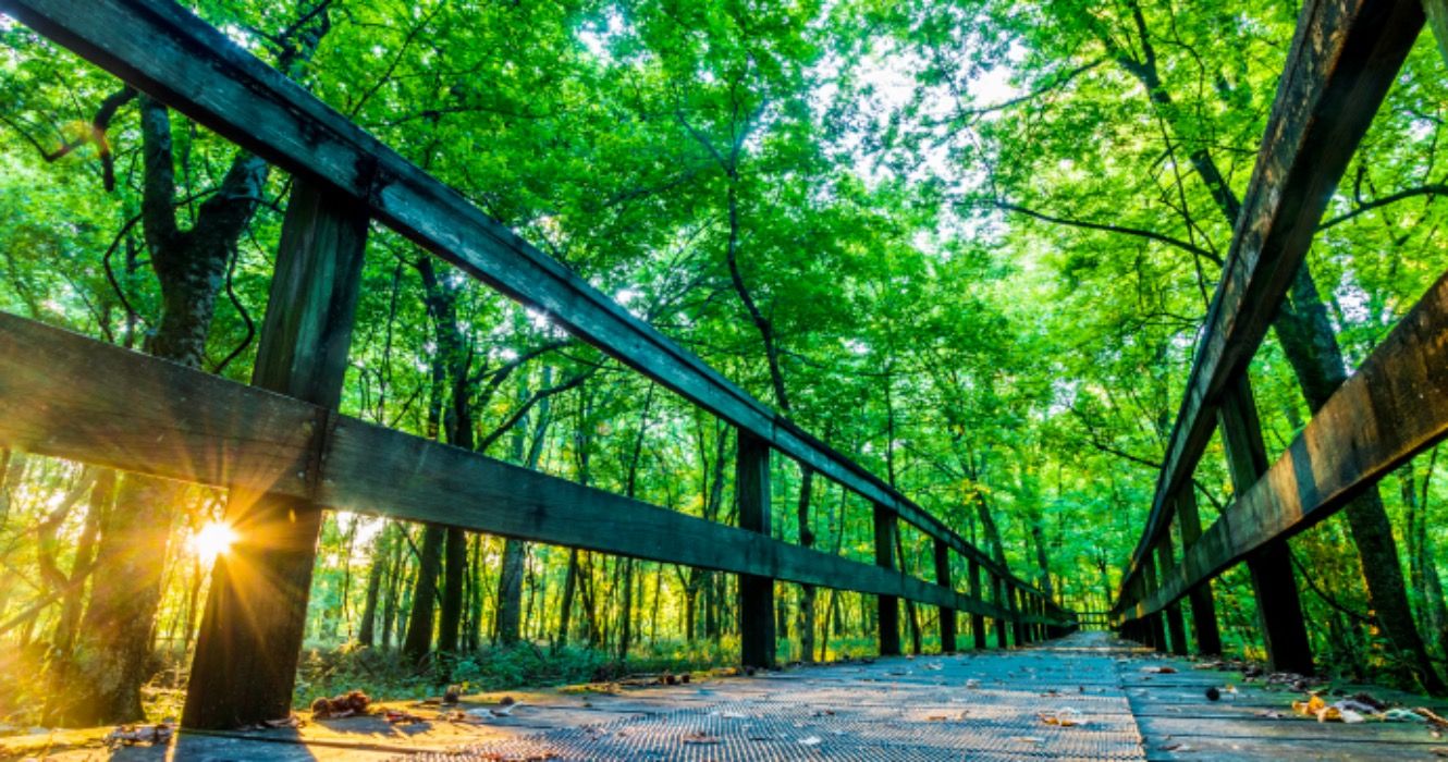 Where To Stop Along The Natchez Trace Parkway
