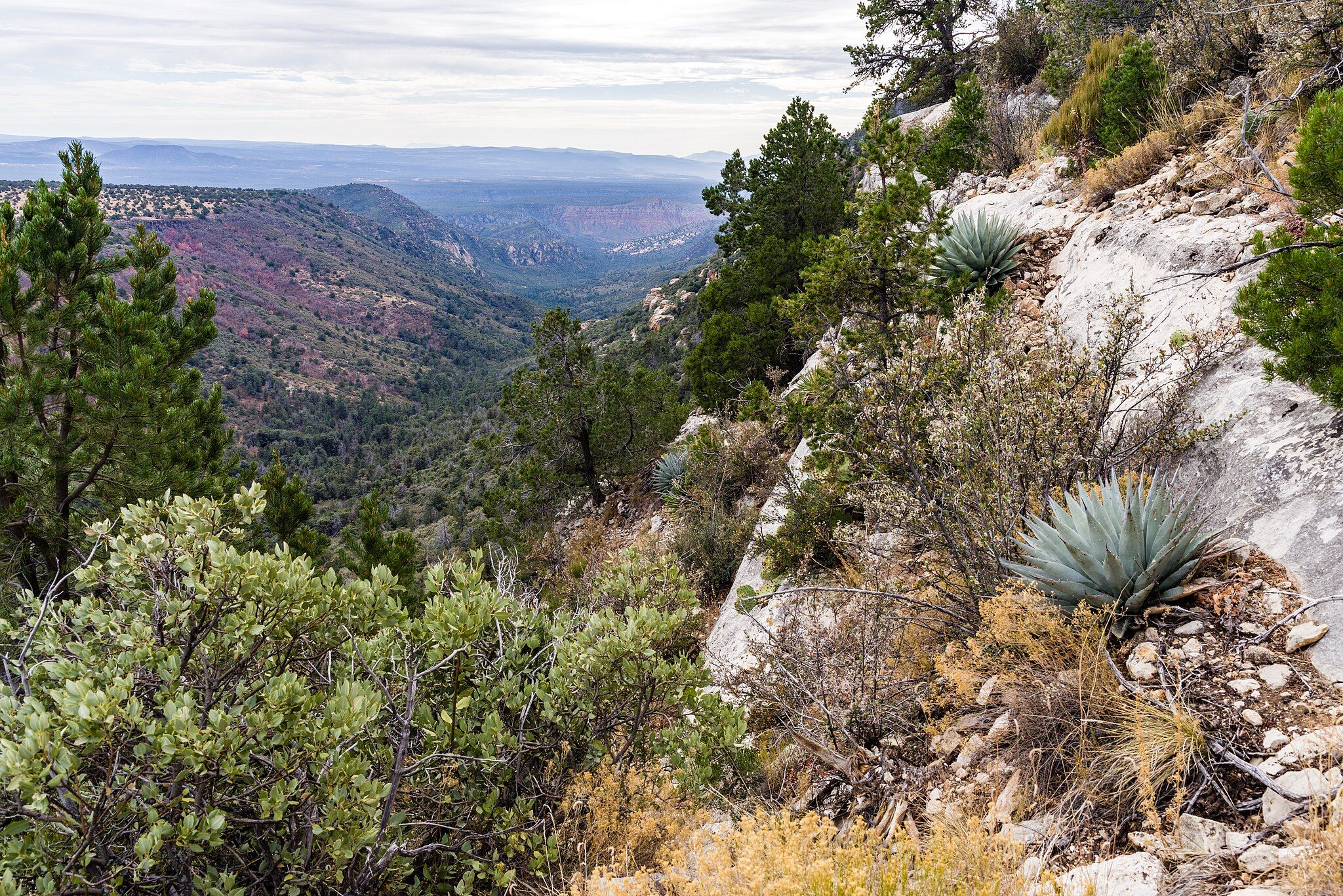 8 Secret Hikes In Sedona