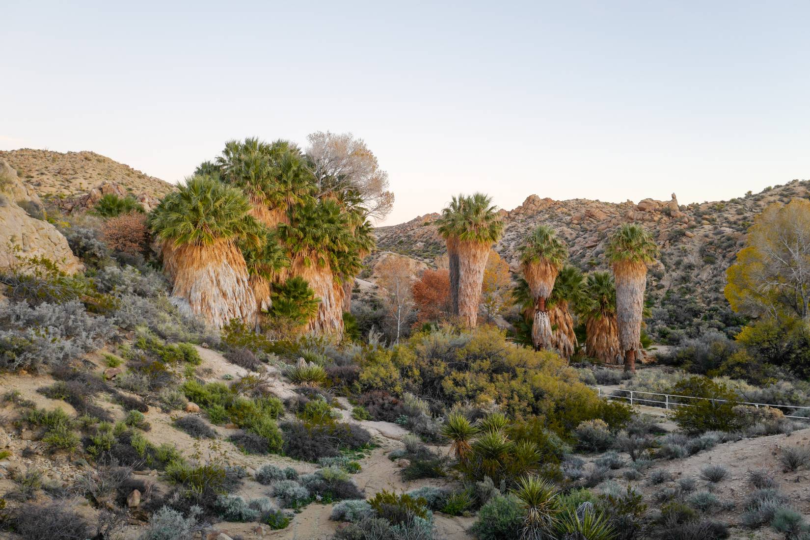 12 Most Scenic Hikes In Joshua Tree National Park