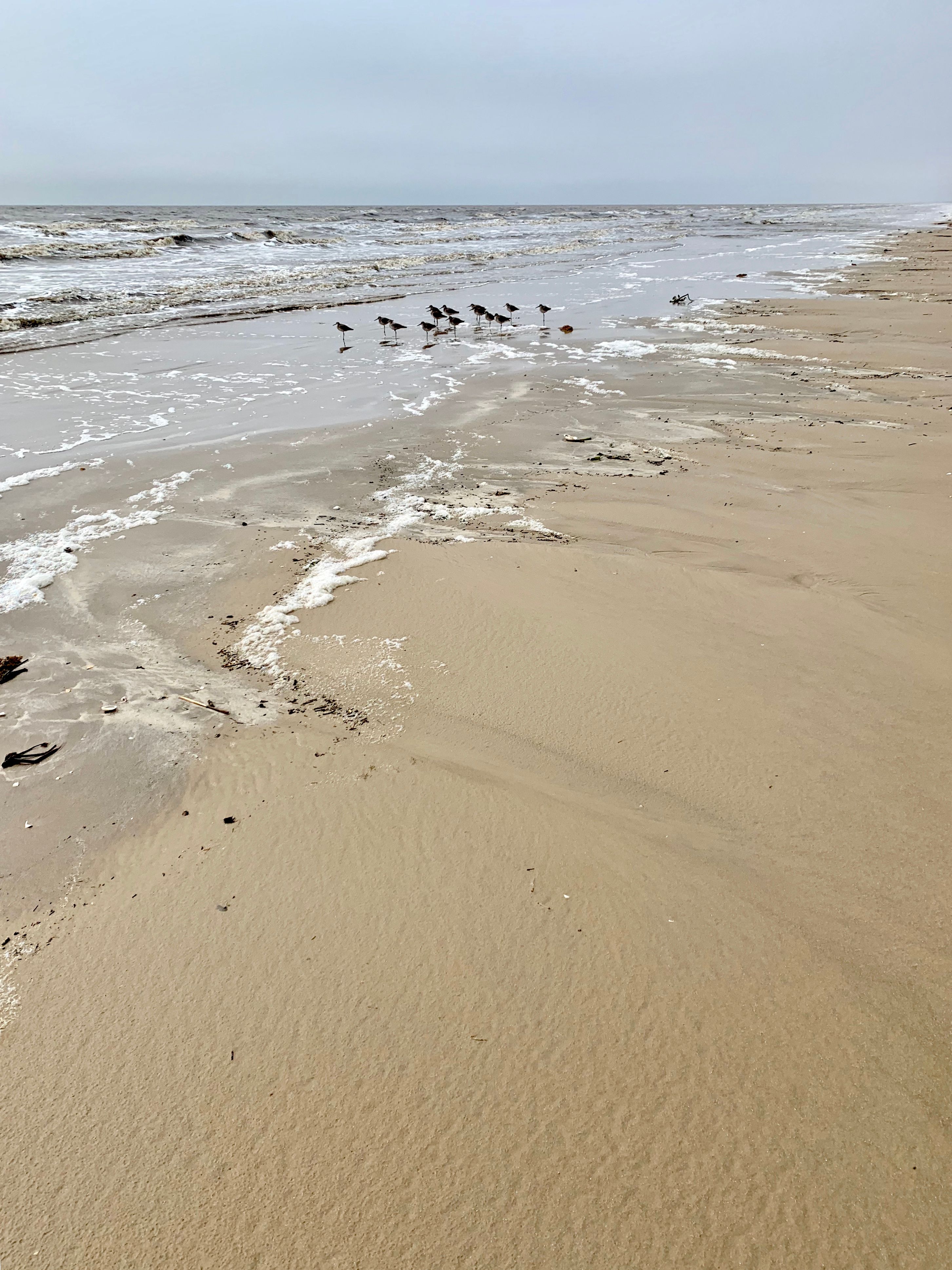 14 Best Beaches Near San Antonio For Your Next Getaway