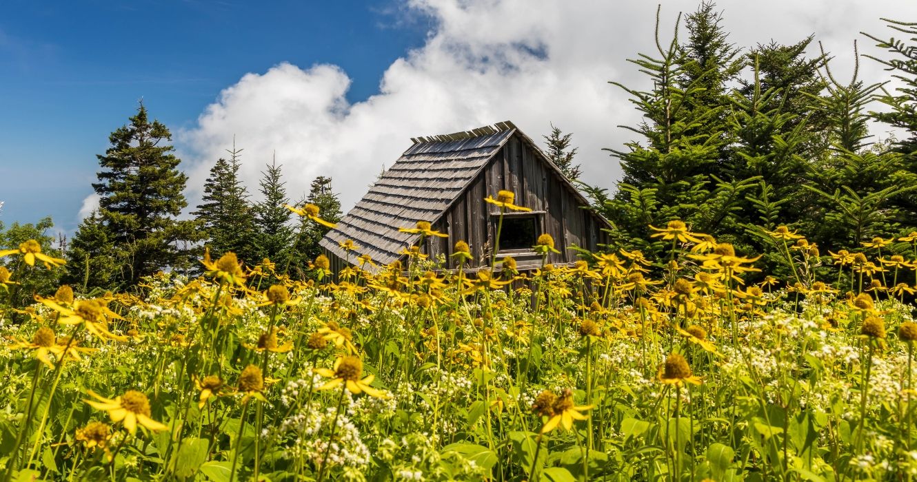 Parkitecture: 7 Unique National Park Buildings With Unbelievable Stories