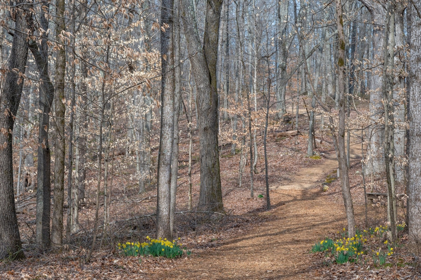 Where To Stop Along The Natchez Trace Parkway
