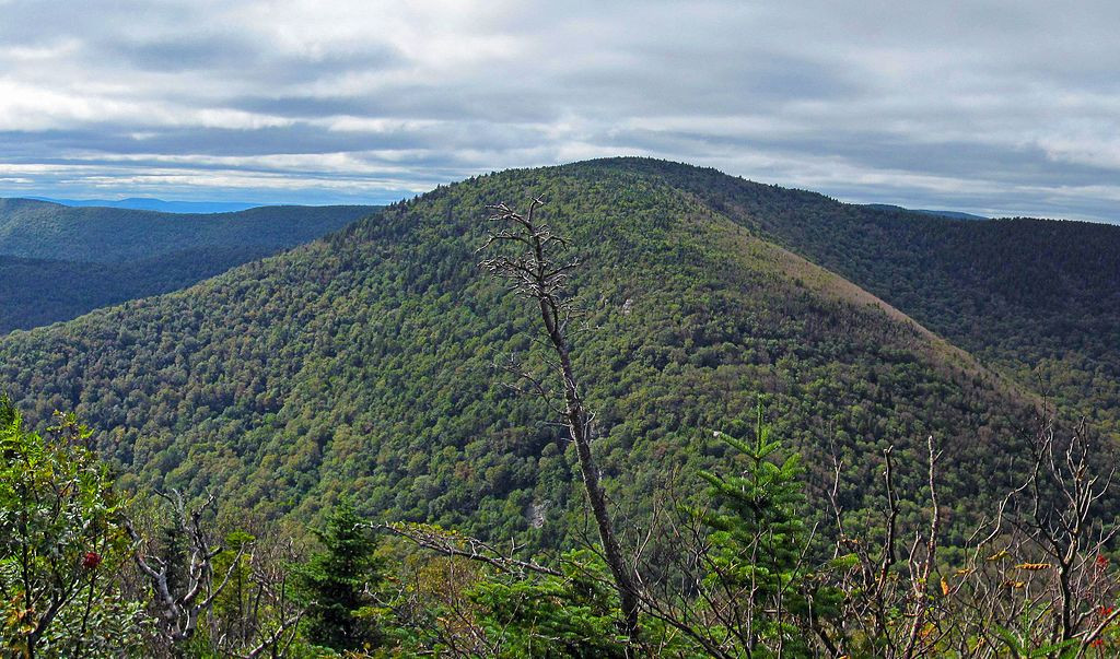 Devil's Path: What To Know Before Hiking The Most Difficult Hike In The ...