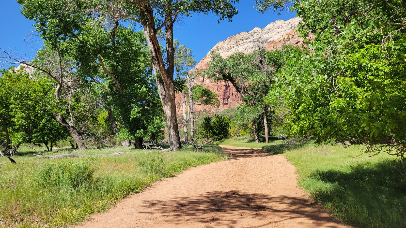 Sand Bench Trail, Zion National Park, Utah, USA