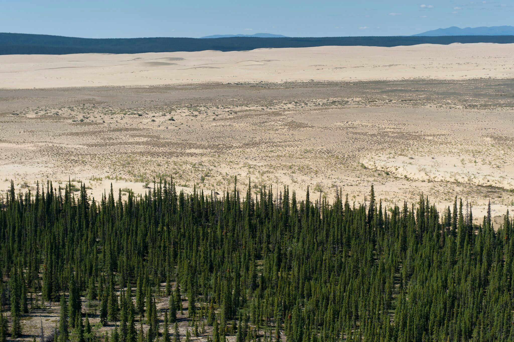 7 Strange Things That Exist Only In Alaska & Nowhere Else