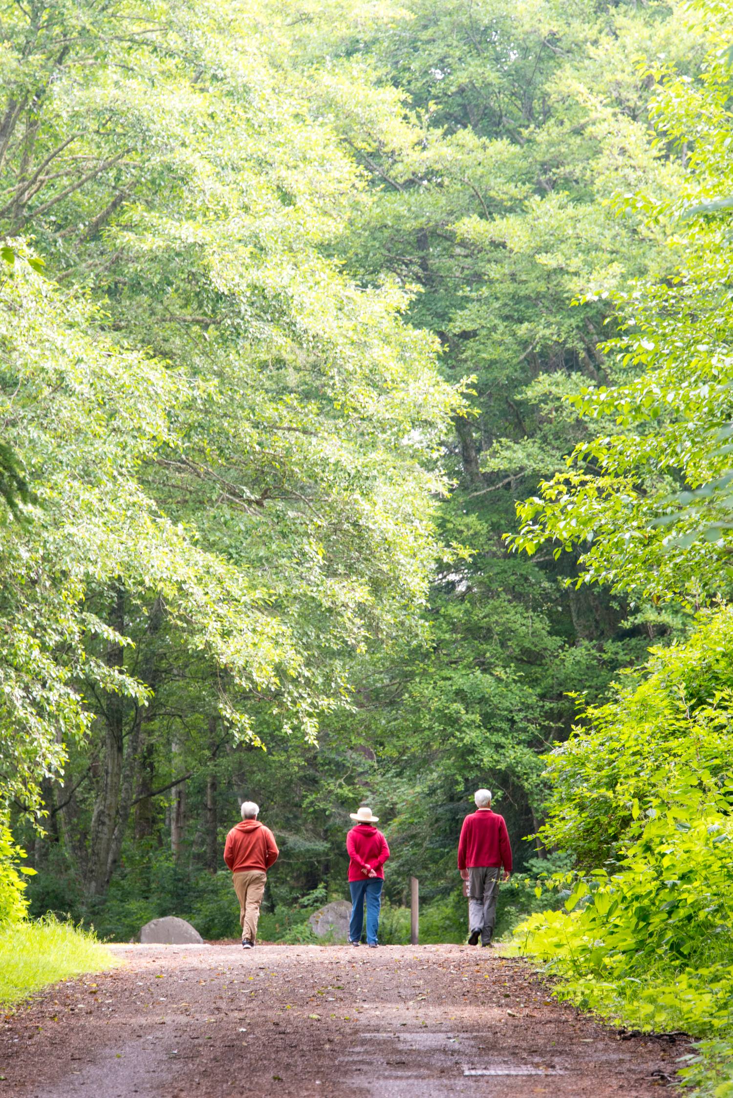 9 Hidden Gem Hikes Within Driving Distance Of Seattle