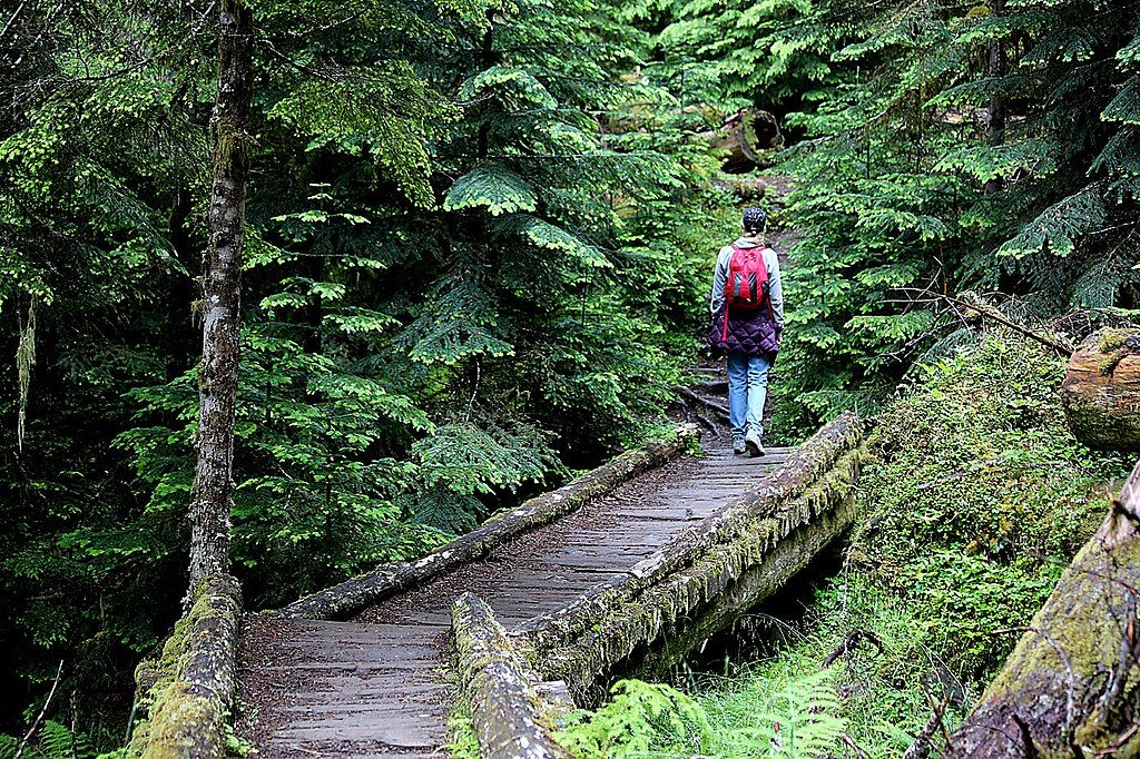 7 Hard Hikes In Olympic National Park