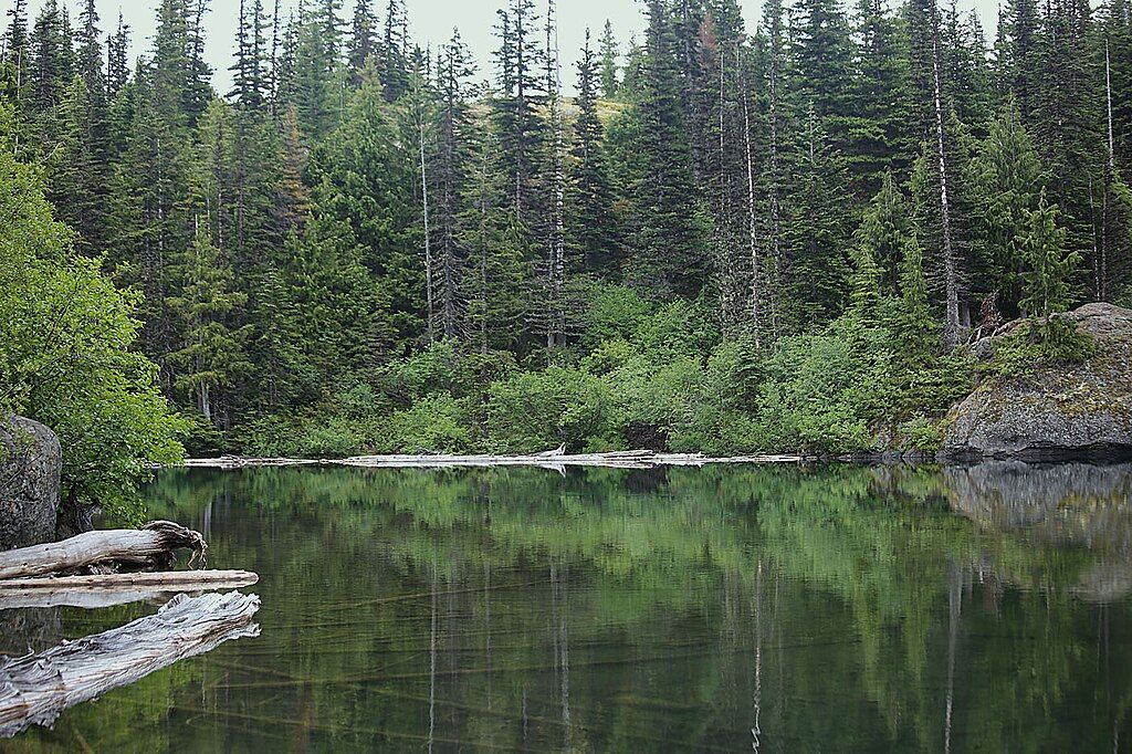 7 Hard Hikes In Olympic National Park