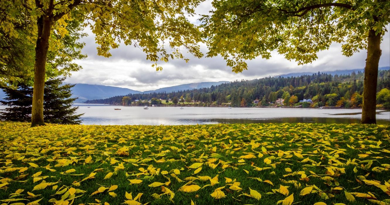 7 Best Small Towns On The Olympic Peninsula To Visit In Fall